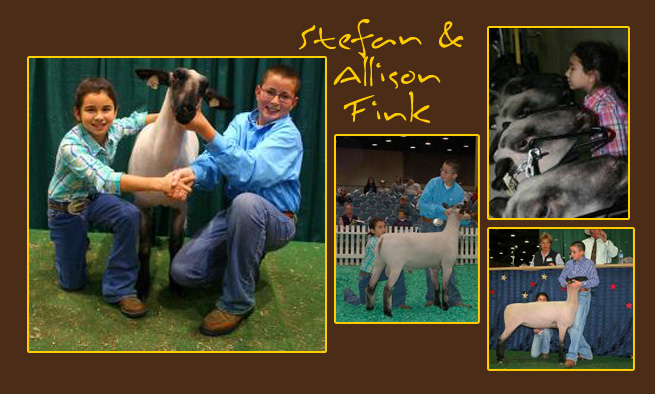 Stefan & Allison Fink